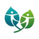 成年人草莓视频app